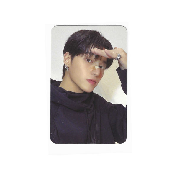 Aniteez in Treasure Mini Plush POB