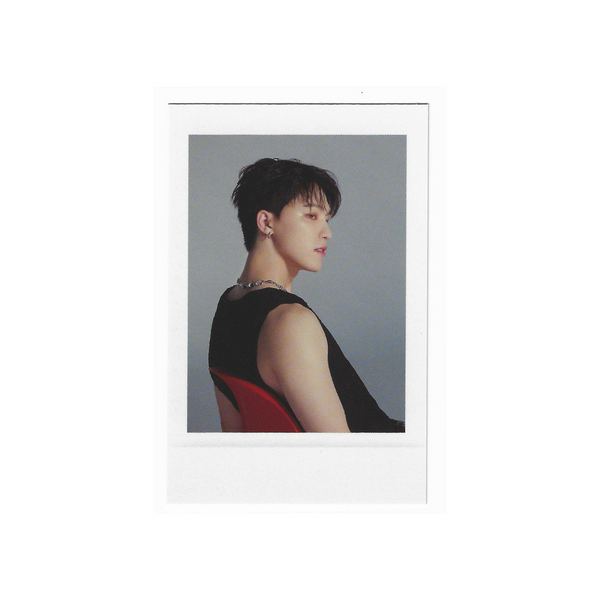 Seventeen Spill The Feels Apple Music POB Standard Polaroid