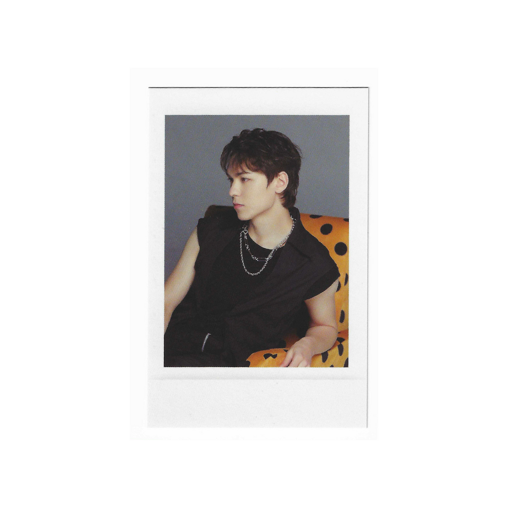 Seventeen Spill The Feels Apple Music POB Standard Polaroid - Mostly K-pop Dino