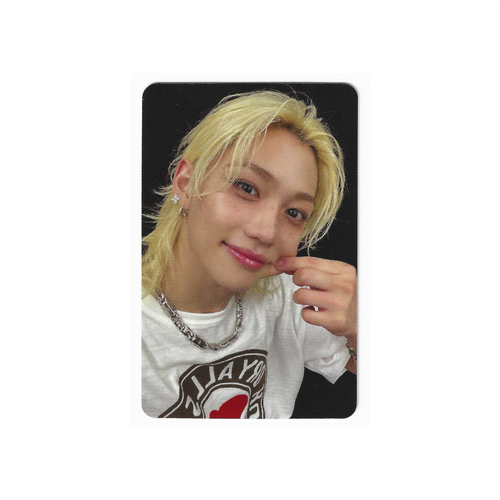 Stray Kids Karma Apple Music Preorder Benefit Photocard