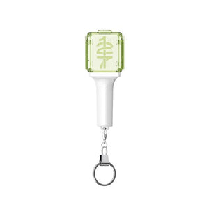NCT 127 Mini Fanlight Keyring