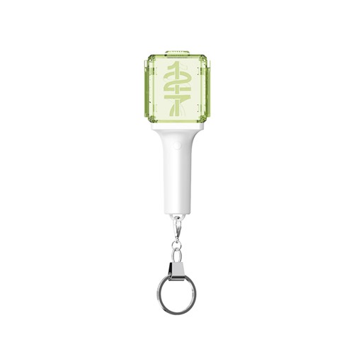 NCT 127 Mini Fanlight Keyring