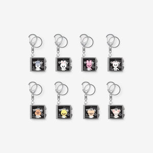 SKZOO MIRROR KEYRING Stray Kids THIS & THAT MD