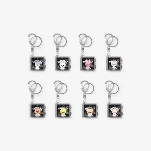 SKZOO MIRROR KEYRING Stray Kids THIS & THAT MD